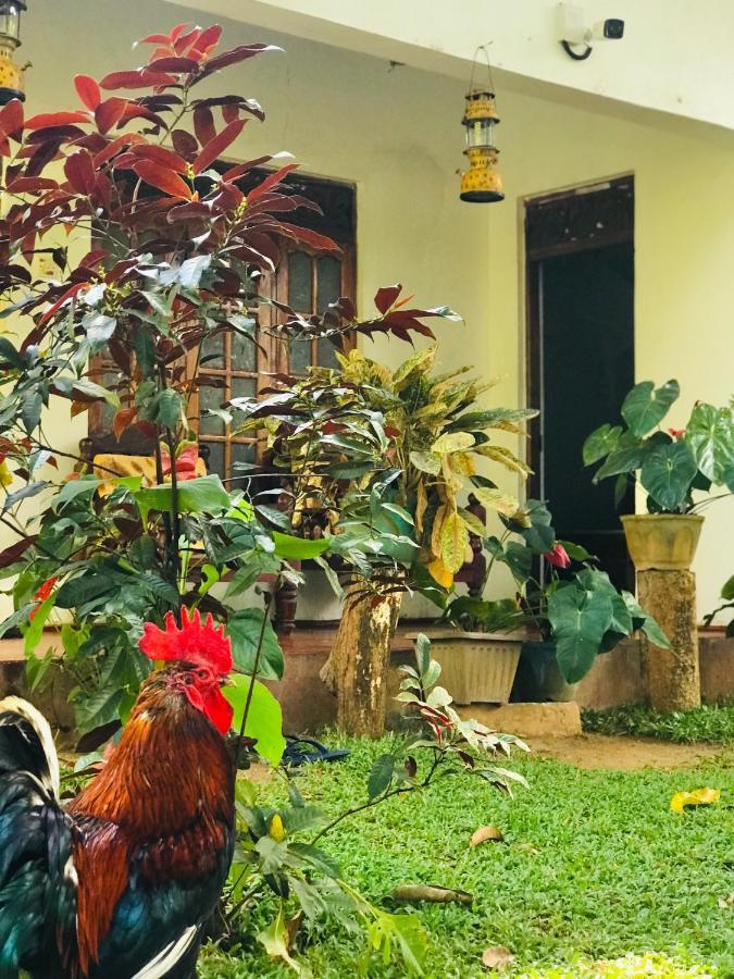Sigiri Lakshan Home Stay Sigiriya Dış mekan fotoğraf